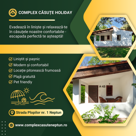 complex-casute-holiday-big-1