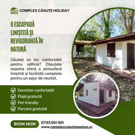 complex-casute-holiday-big-2